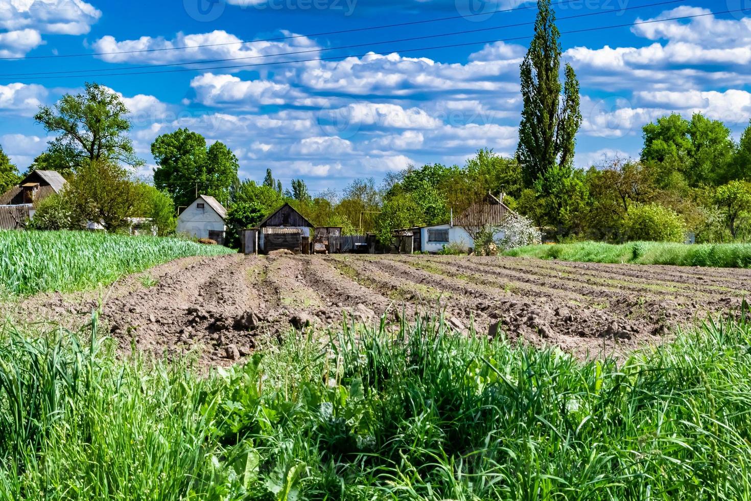 fotografia sobre o tema grande campo de fazenda vazio para colheita orgânica foto