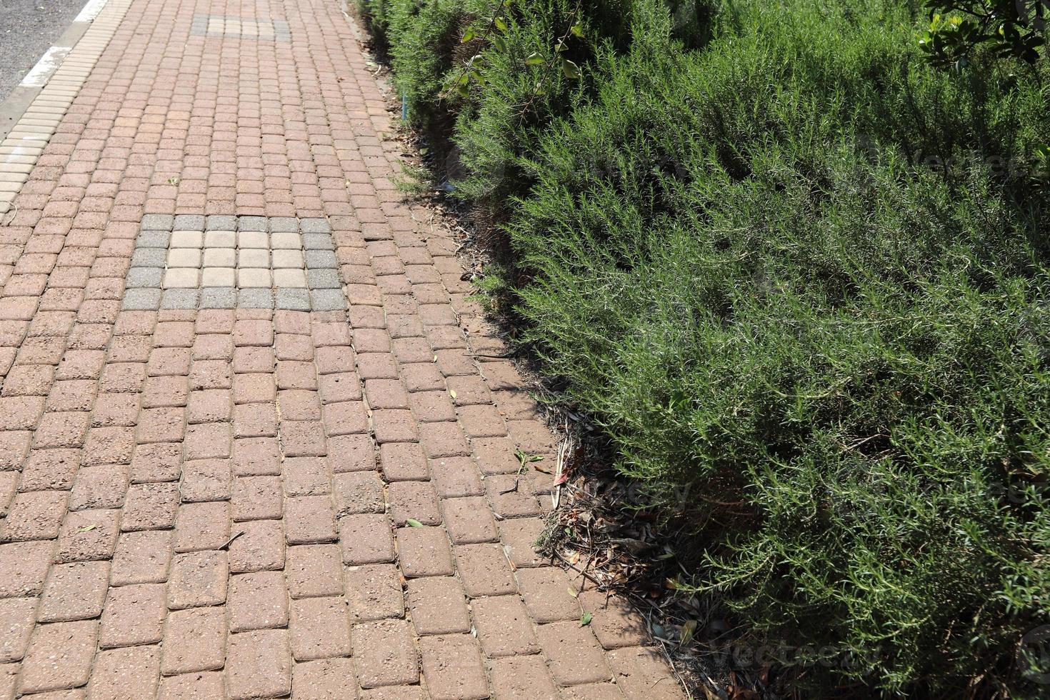 estrada para pedestres em um parque da cidade no norte de israel. foto