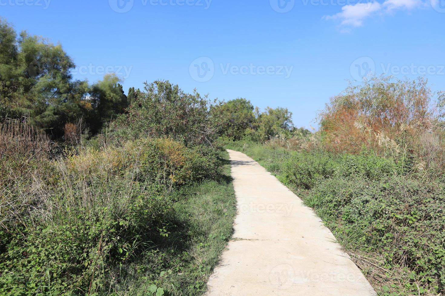 estrada para pedestres em um parque da cidade no norte de israel. foto