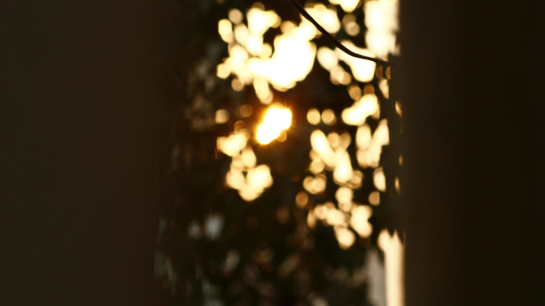 sol brilhando através das folhas das árvores no jardim ao ar livre em karachi paquistão 2022 foto