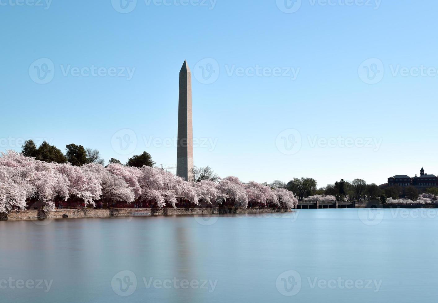 monumento de washington em washington dc, eua foto