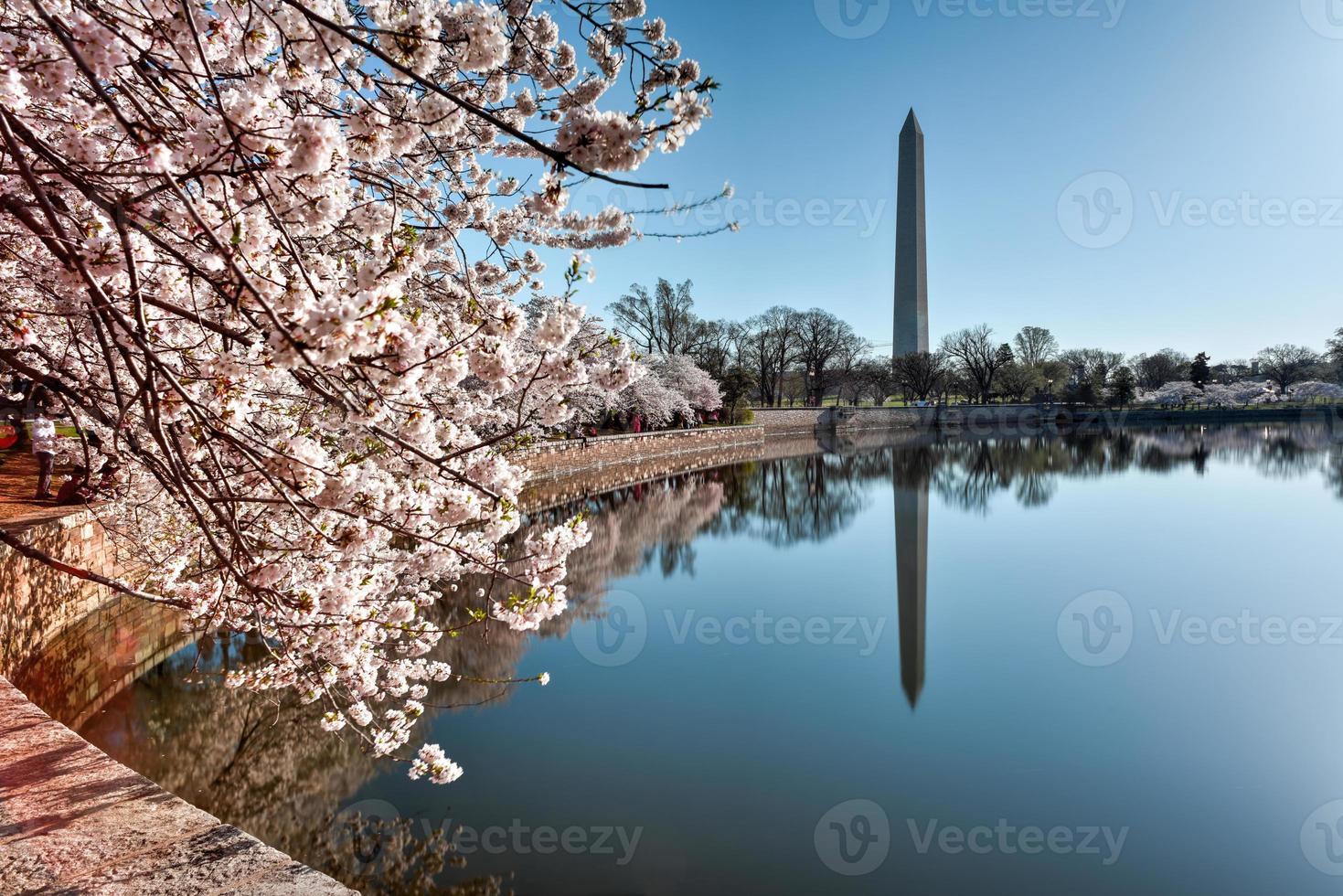 monumento de washington em washington dc, eua foto