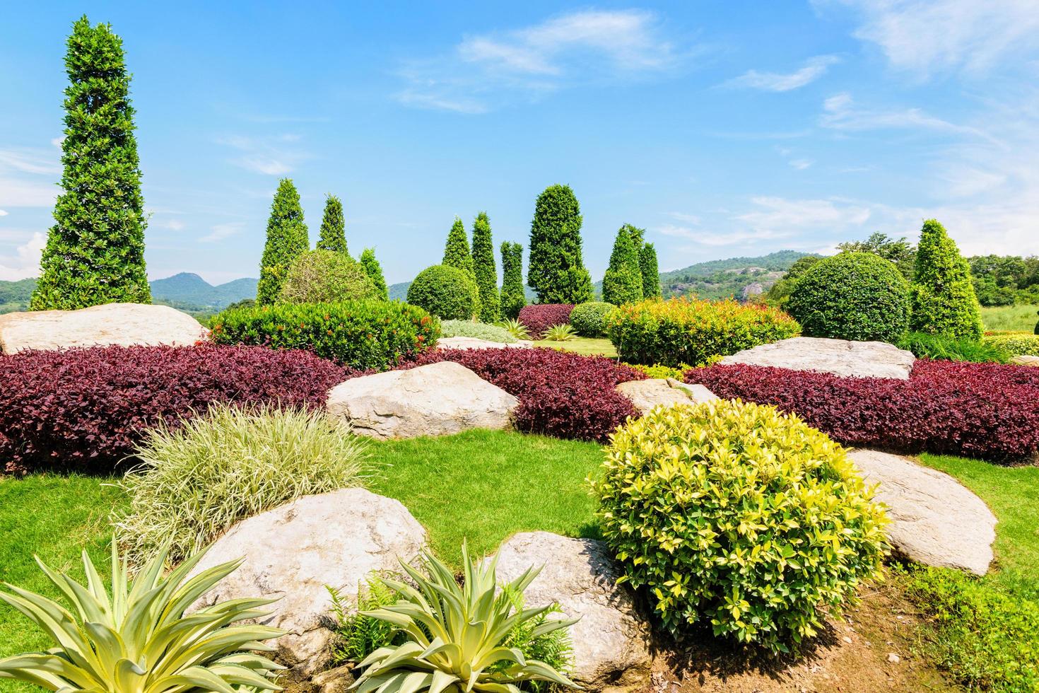 belo jardim decorado com pedras, plantas ornamentais e árvores podadas sob o céu azul. foto