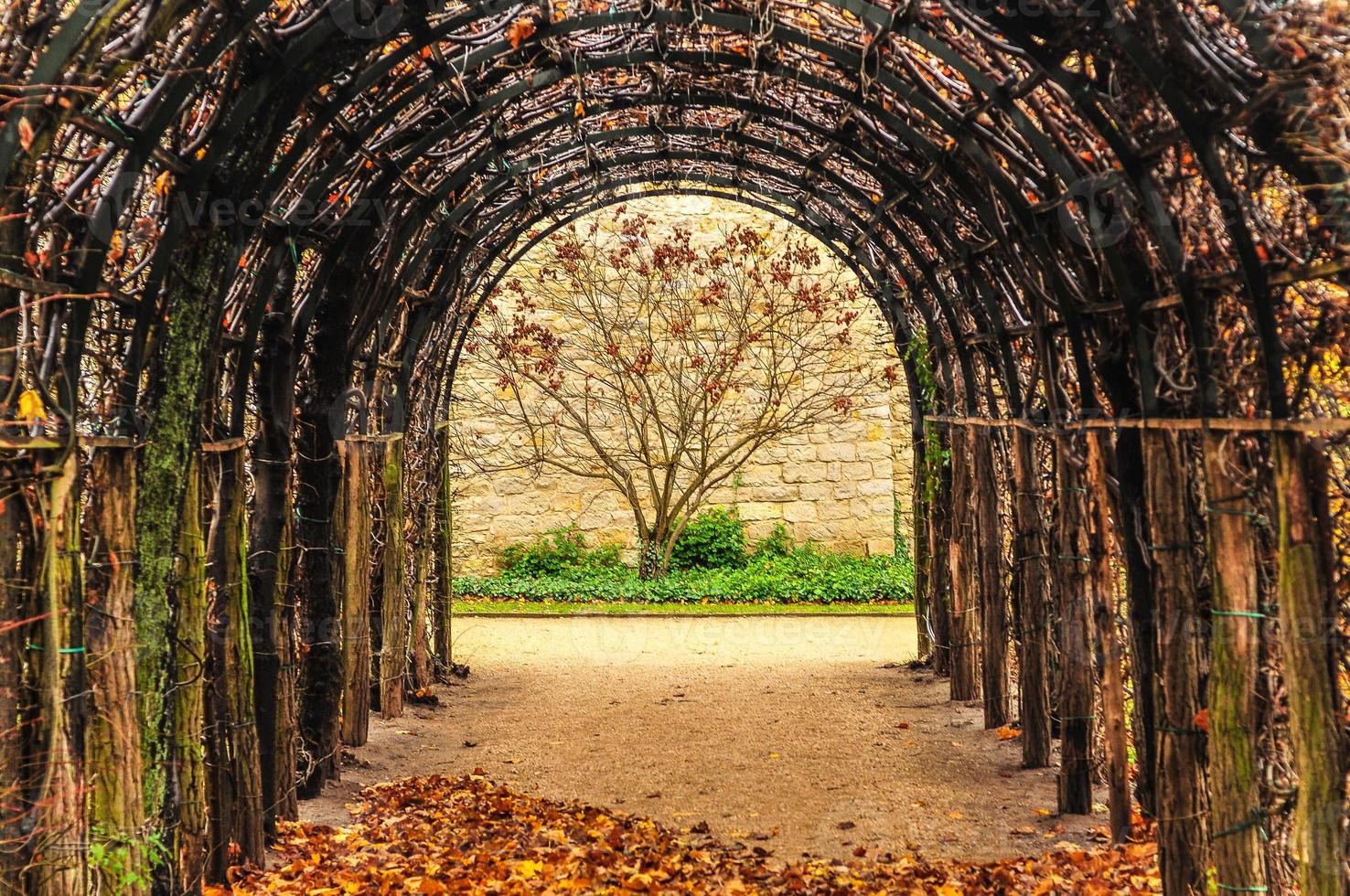 passagem da natureza em potsdam, alemanha foto