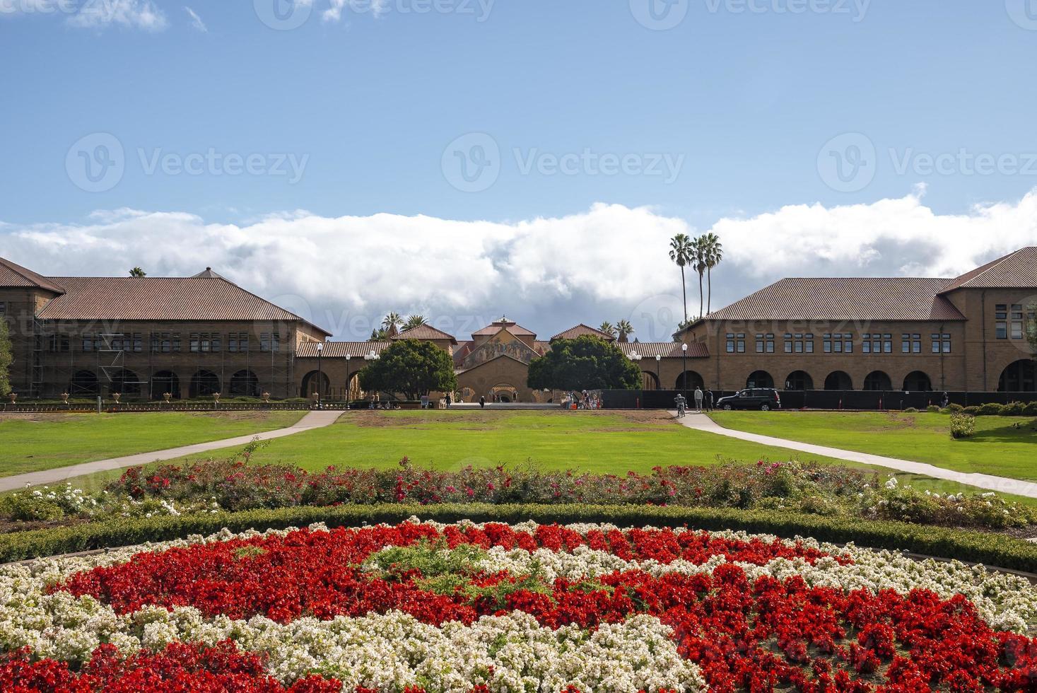 lindas flores crescendo em frente ao prédio da Universidade de Stanford foto