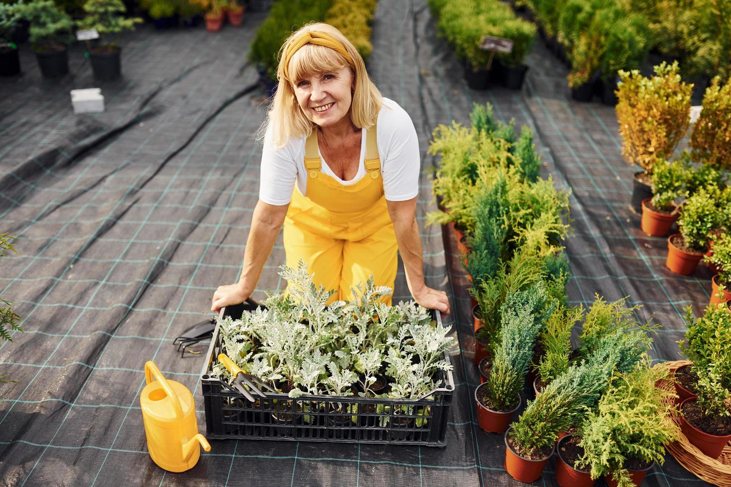 Dia De Trabalho. em uniforme de cor amarela. mulher sênior está no jardim durante o dia. concepção de plantas e estações foto