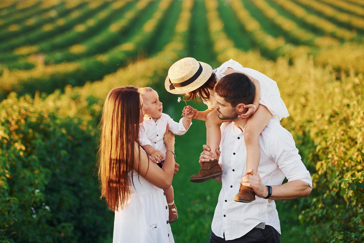 no campo agrícola. pai, mãe com filha e filho passando o tempo livre ao ar livre no dia ensolarado do verão foto