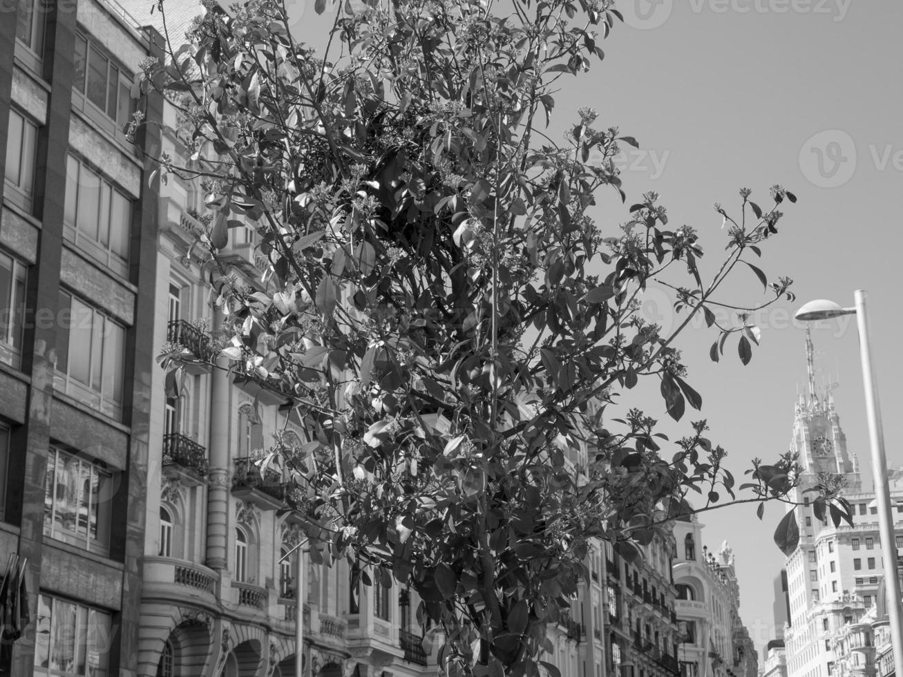 a cidade de málaga na espanha foto