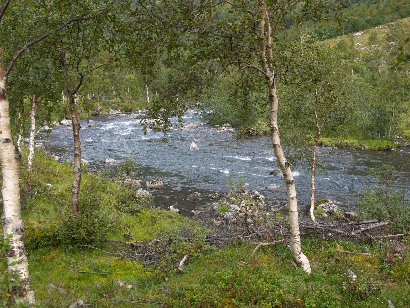 os fiordes da noruega foto