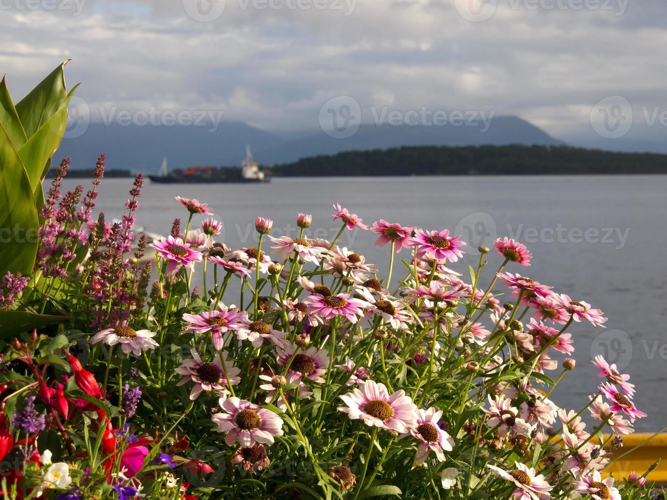 nos fiordes noruegueses foto