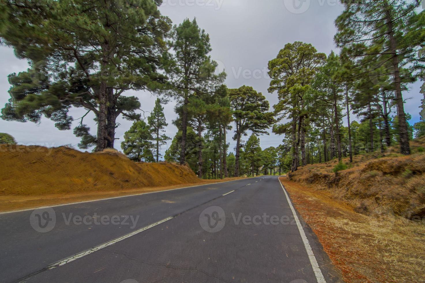 vista de uma estrada foto