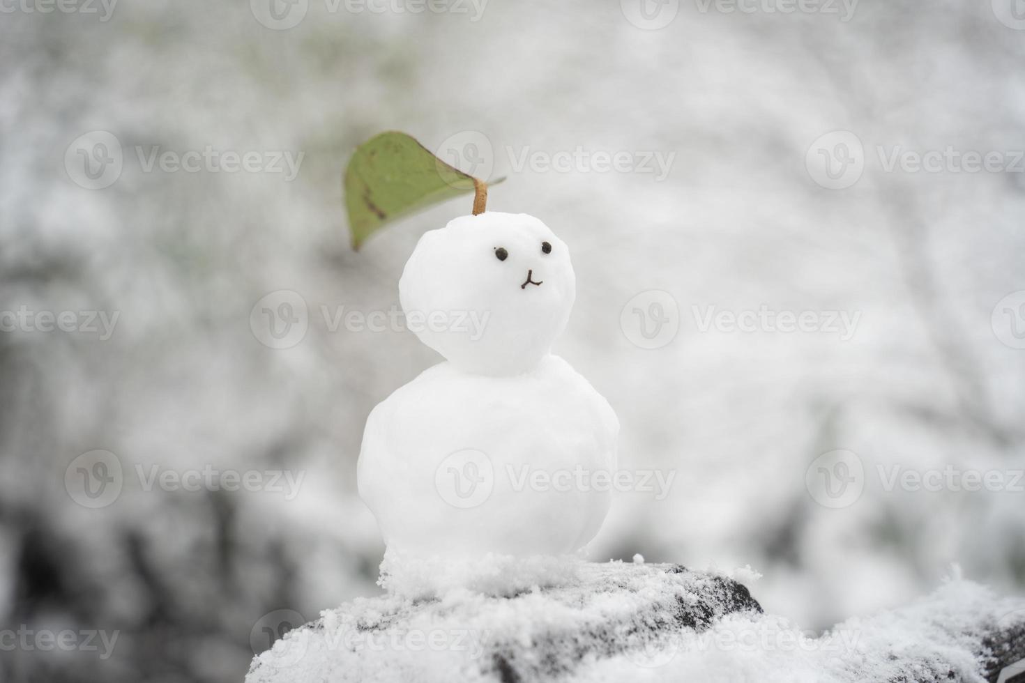 um boneco de neve com uma paisagem de neve foto