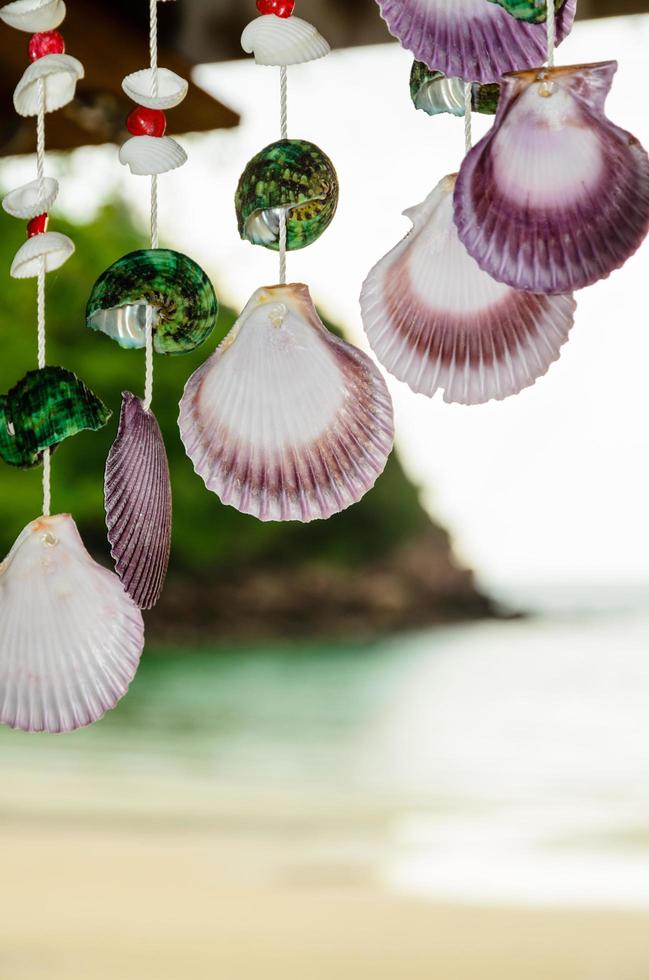 conchas penduradas perto da praia foto