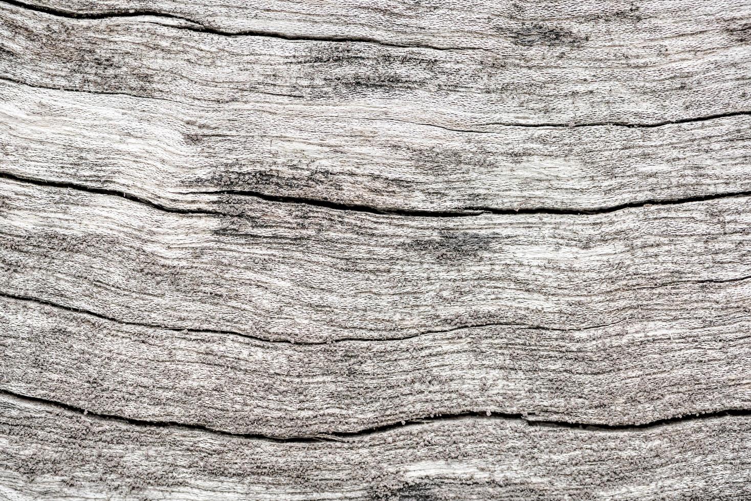 textura de madeira para o fundo da natureza foto