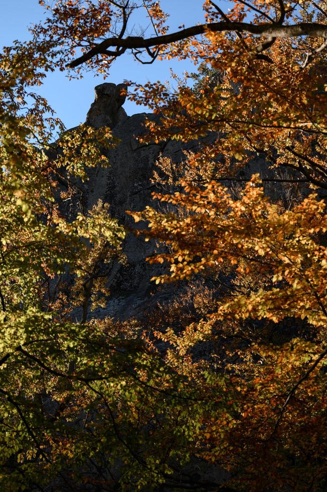 rochas dovbush nas florestas ocidentais ucranianas, florestas de faias e grandes penhascos de pedra. foto