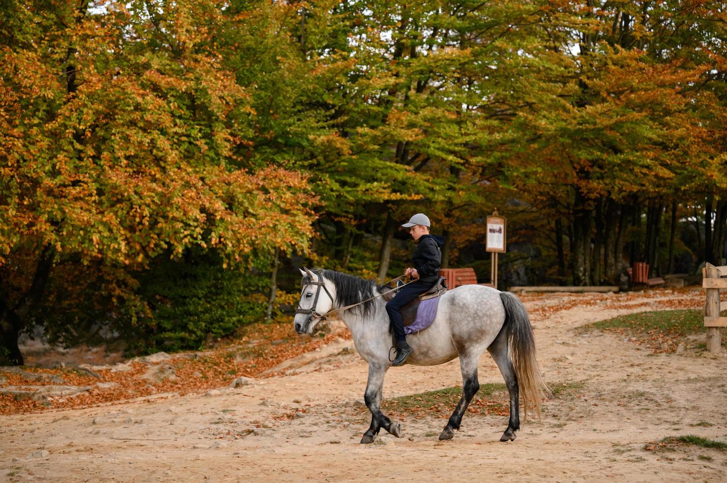 um menino em idade escolar anda a cavalo no parque dovbush rock, na ucrânia. foto