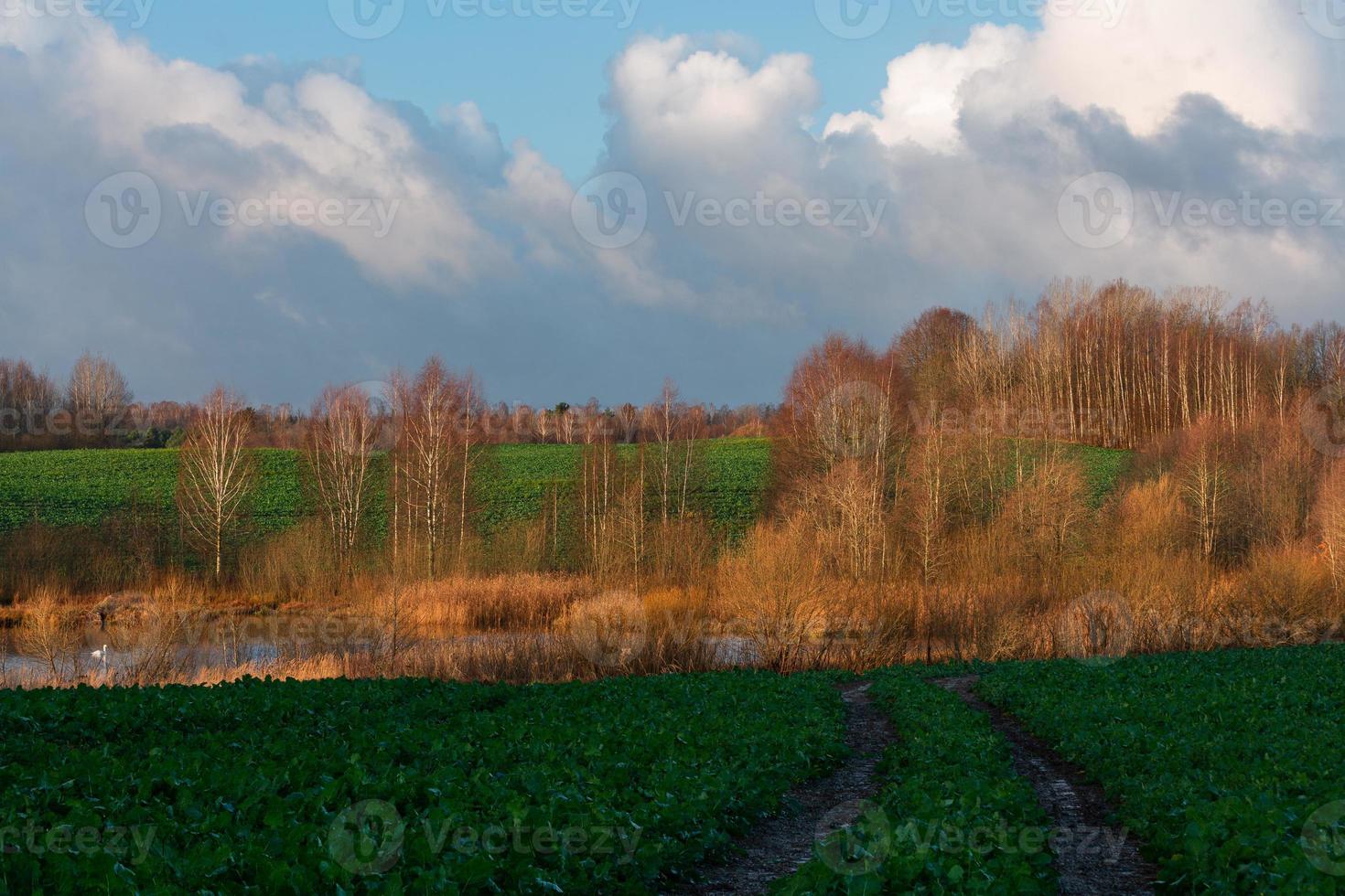 paisagens naturais de outono na letônia foto