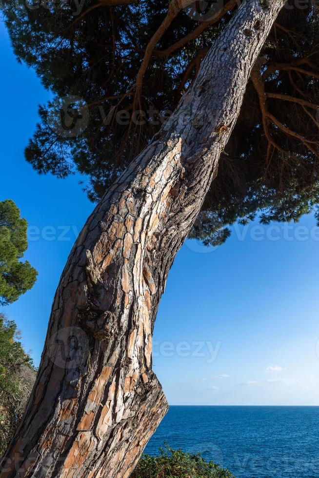 vistas da costa da costa brava foto