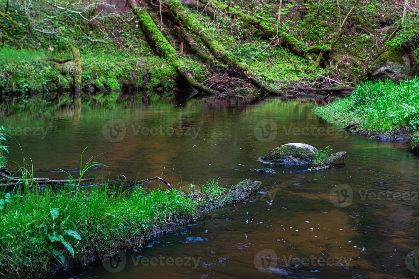 um pequeno riacho na floresta com falésias de arenito e pedras foto