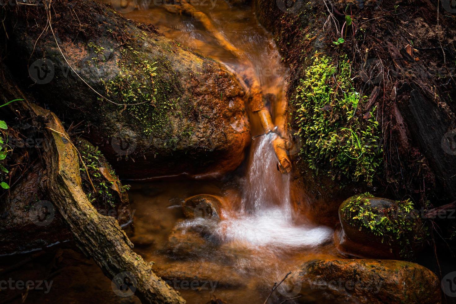 um pequeno riacho na floresta com falésias de arenito e pedras foto