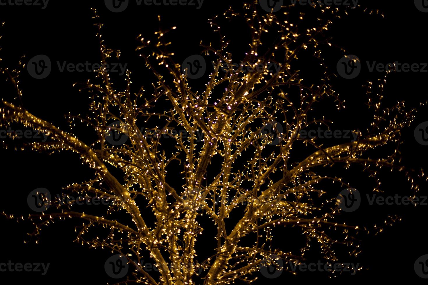 guirlandas na árvore. lâmpadas no escuro. foto