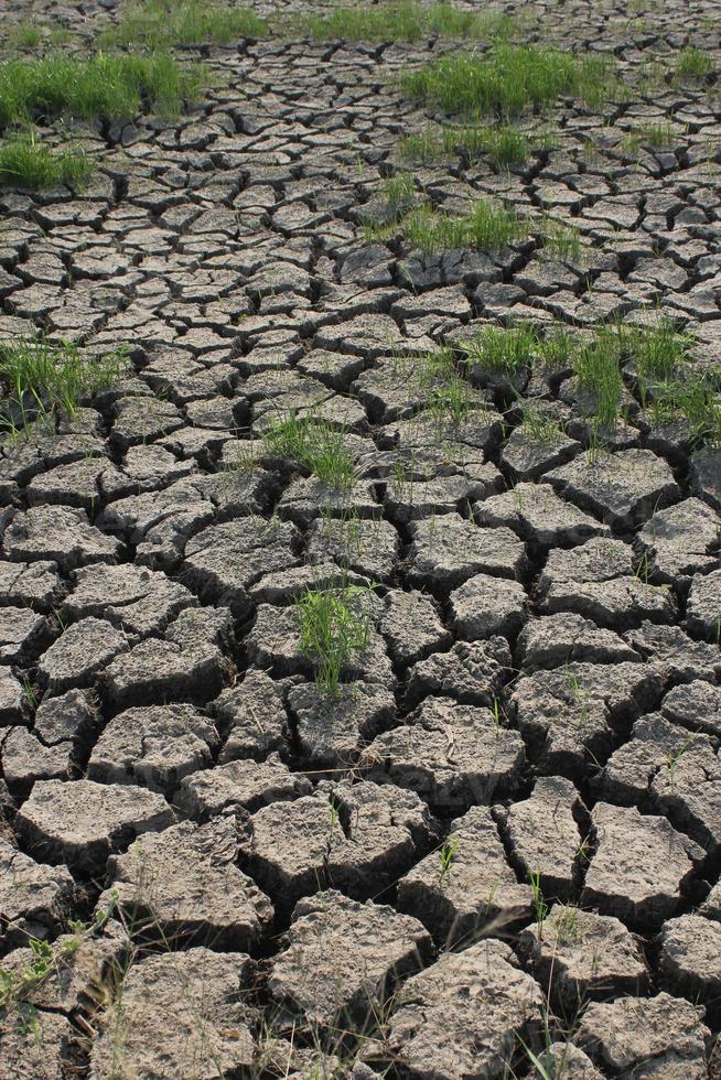 condições de seca do solo em países asiáticos foto