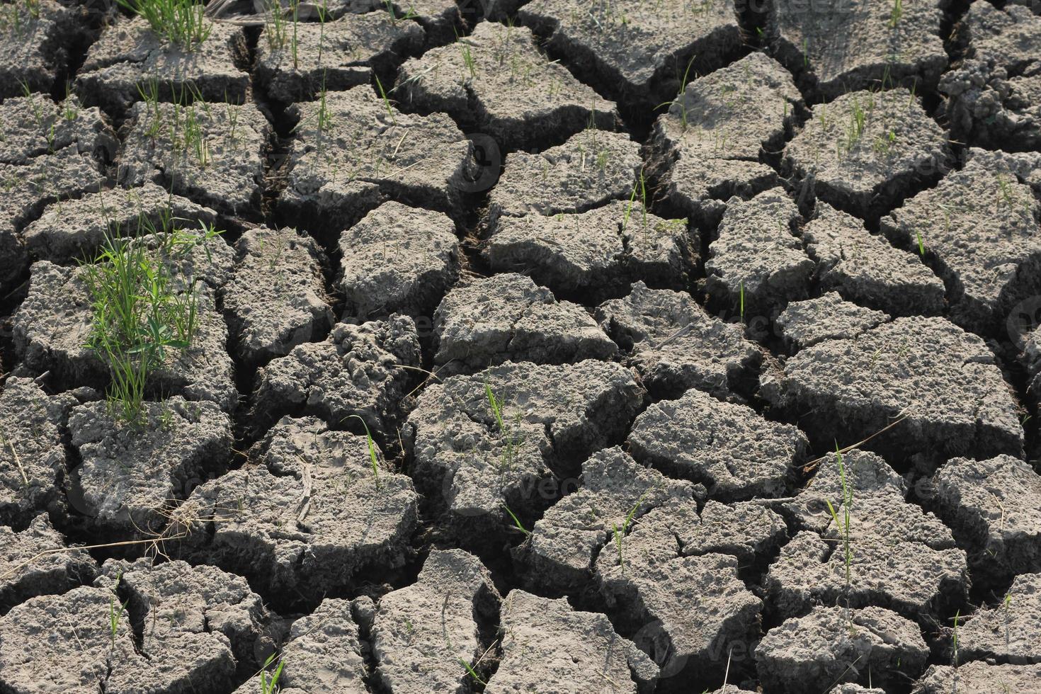 condições de seca do solo em países asiáticos foto