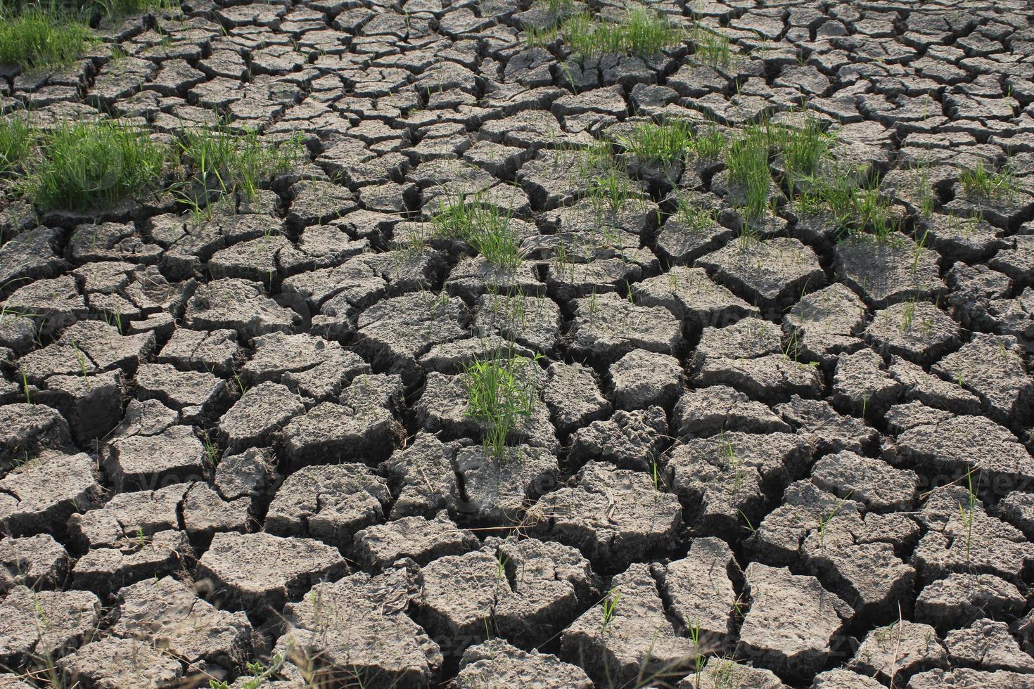 condições de seca do solo em países asiáticos foto