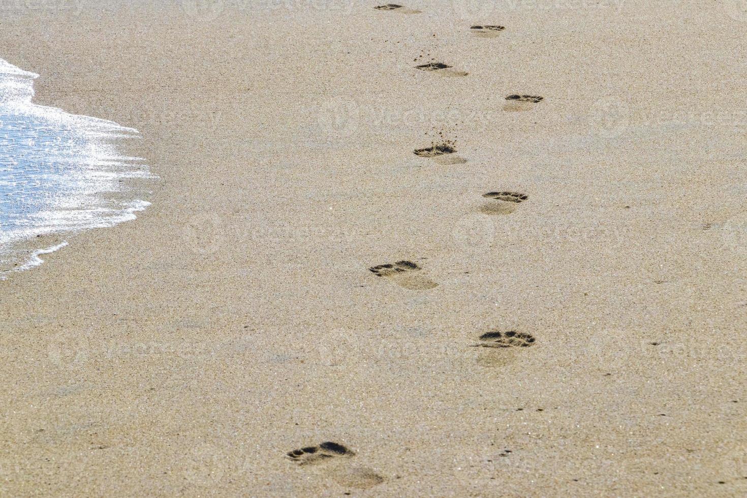 pegada pegadas na areia da praia perto da água méxico. foto