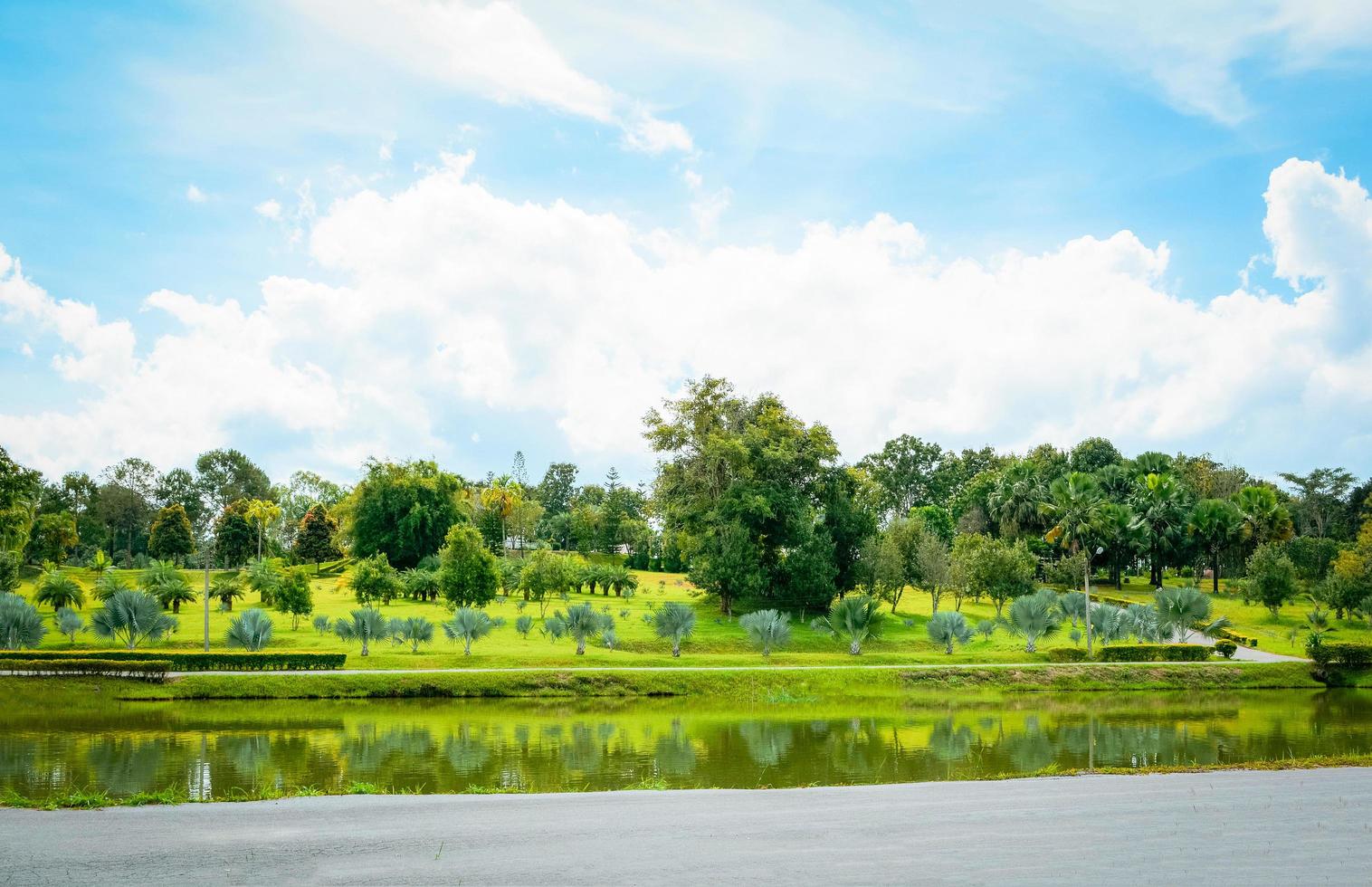 lagoa verde no lago de paisagem de verão do parque com jardim de palmeiras e fundo de céu azul foto