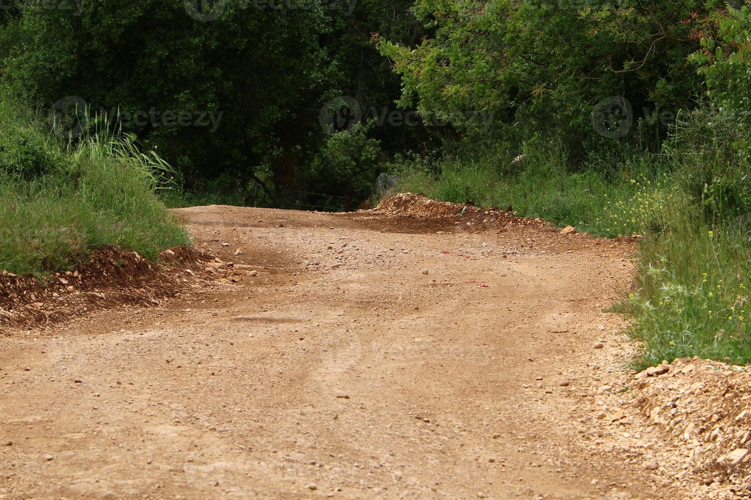 estrada rural da floresta no norte de israel. foto