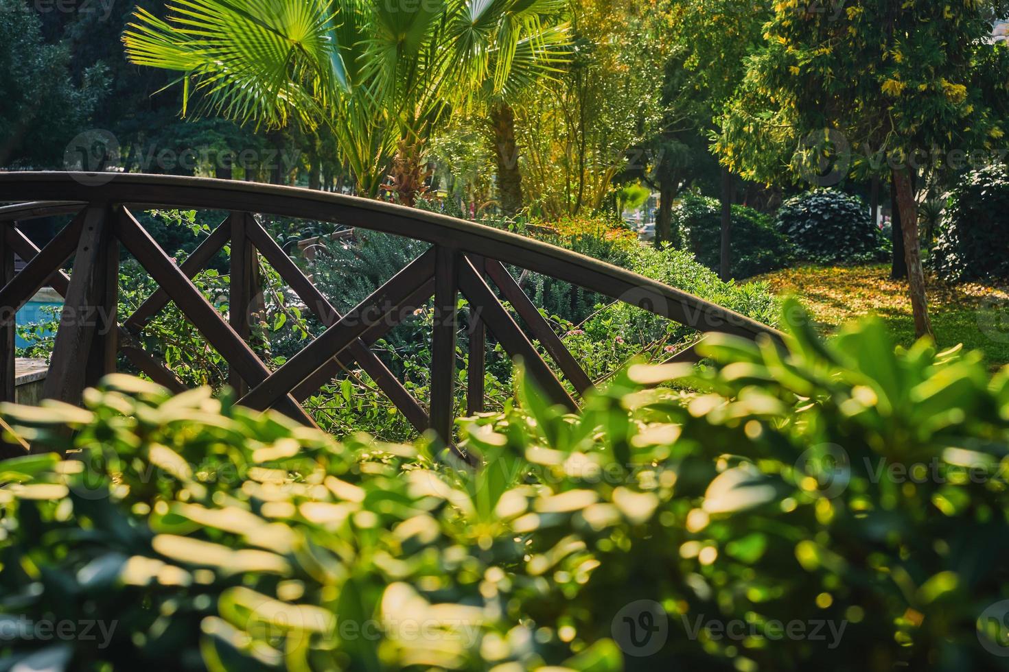 detalhes do parque da cidade, foco seletivo, desenho e paisagismo do ambiente urbano. ideia para fundo ou papel de parede foto