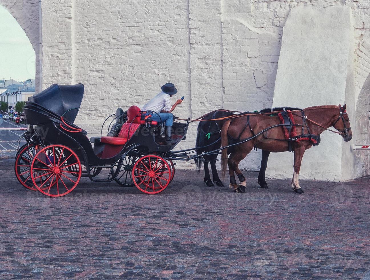 cavalo e uma bela carruagem velha foto