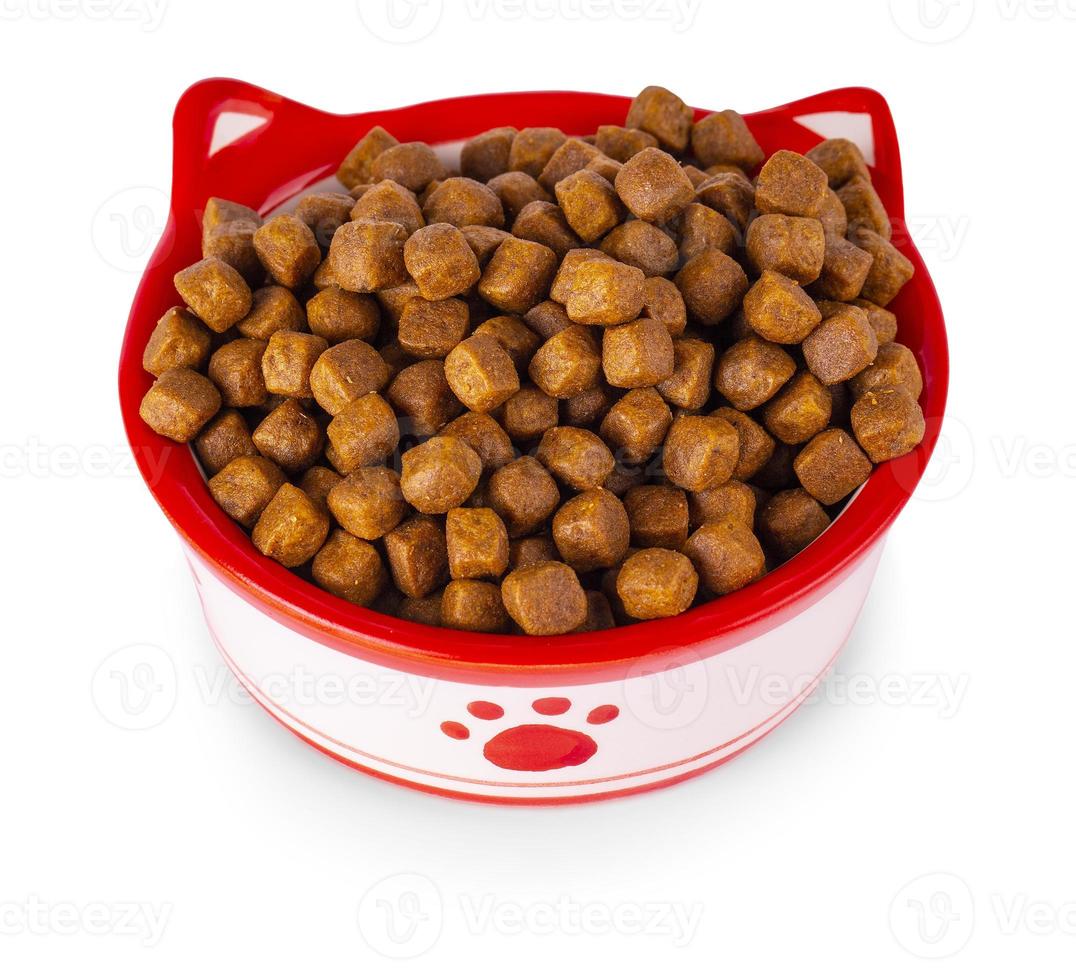comida de gato seca em uma tigela, isolada no fundo branco foto