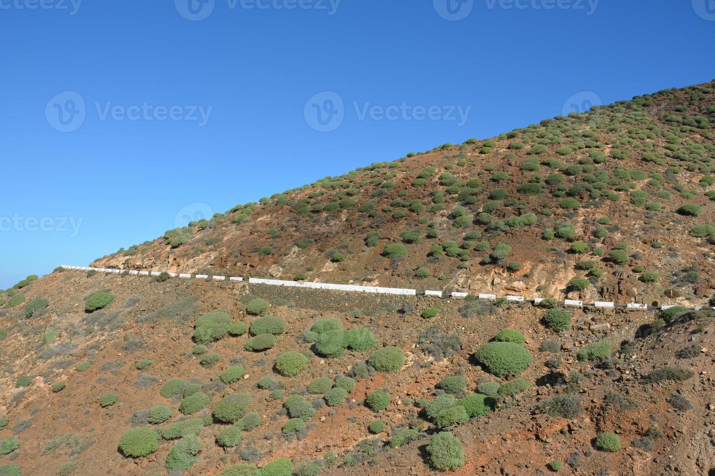 plantas a caminho do vulcão extinto na ilha de fuerteventura foto