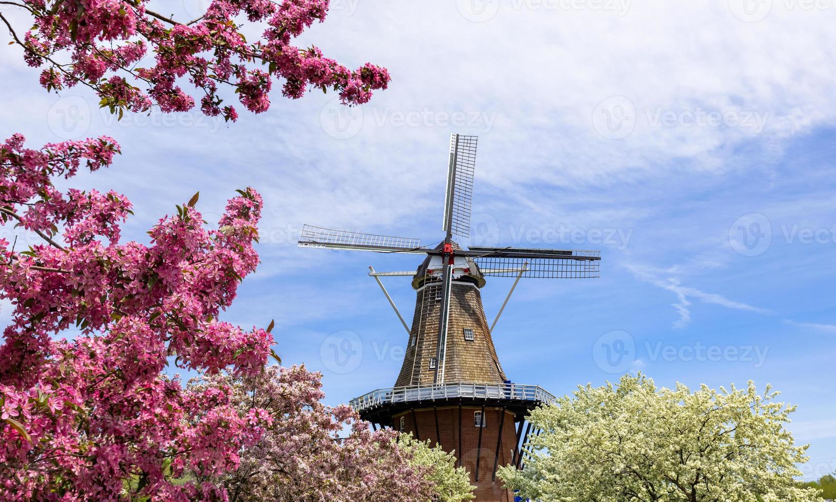 Dentro De Um Moinho De Vento, Holanda Imagem de Stock - Imagem de