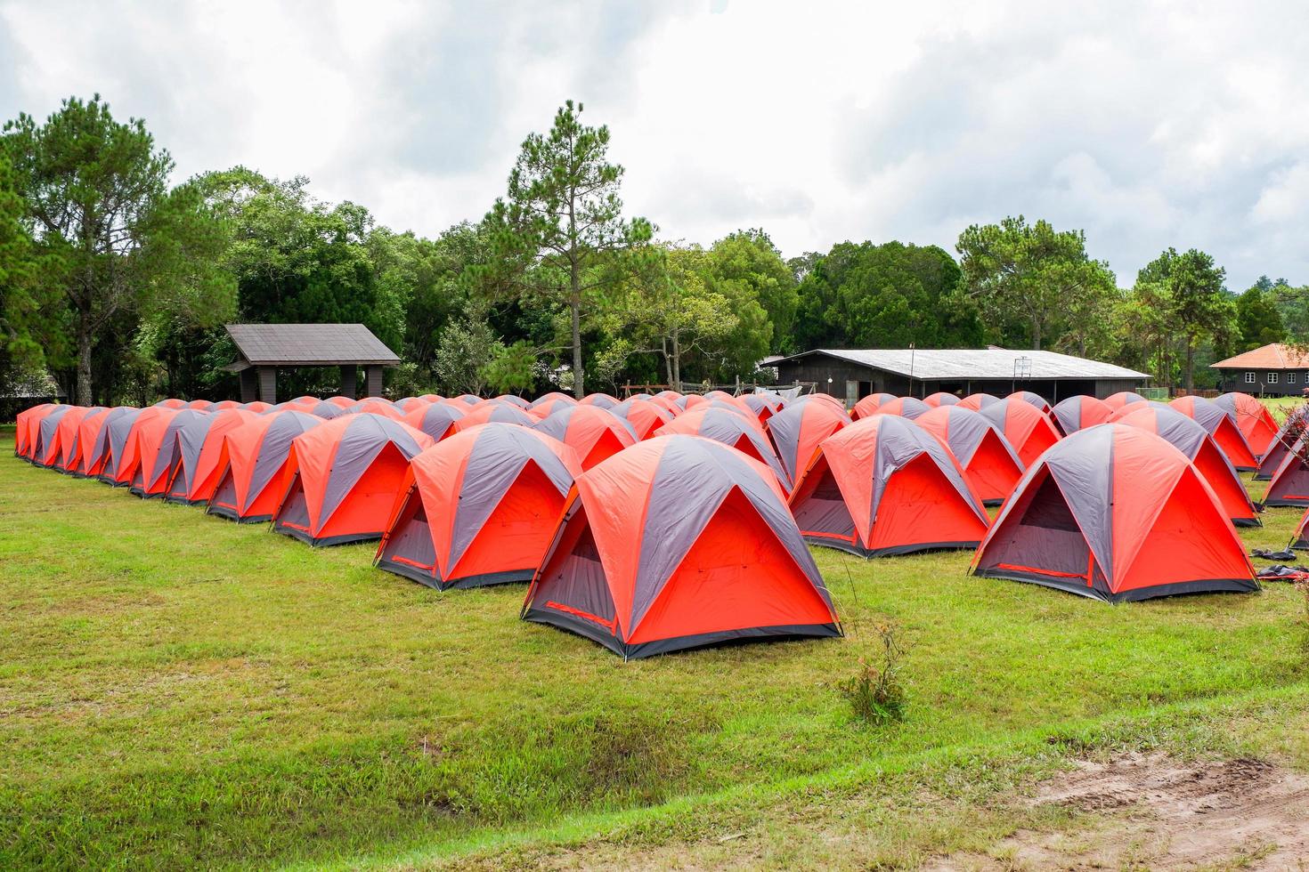 suporte colorido de barraca de acampamento em uma linha com fundo de pinheiro no parque de tendas da área foto