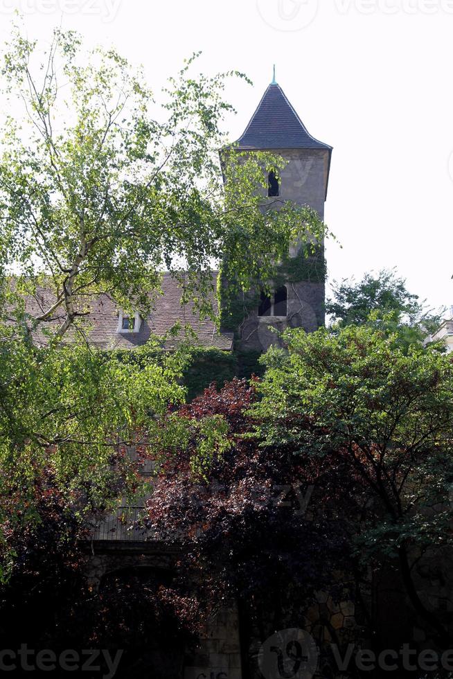 viajar para viena, áustria. a vista sobre a casa medieval com árvores em primeiro plano. foto