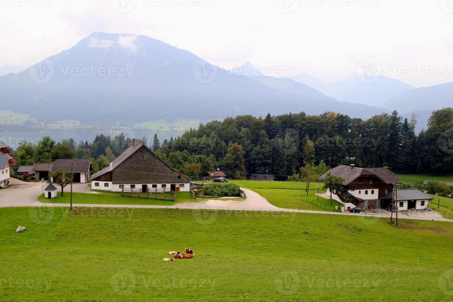 viajar para sankt-wolfgang, áustria. a vista sobre o prado verde com as vacas, com as casas, um lago e as montanhas ao fundo. foto