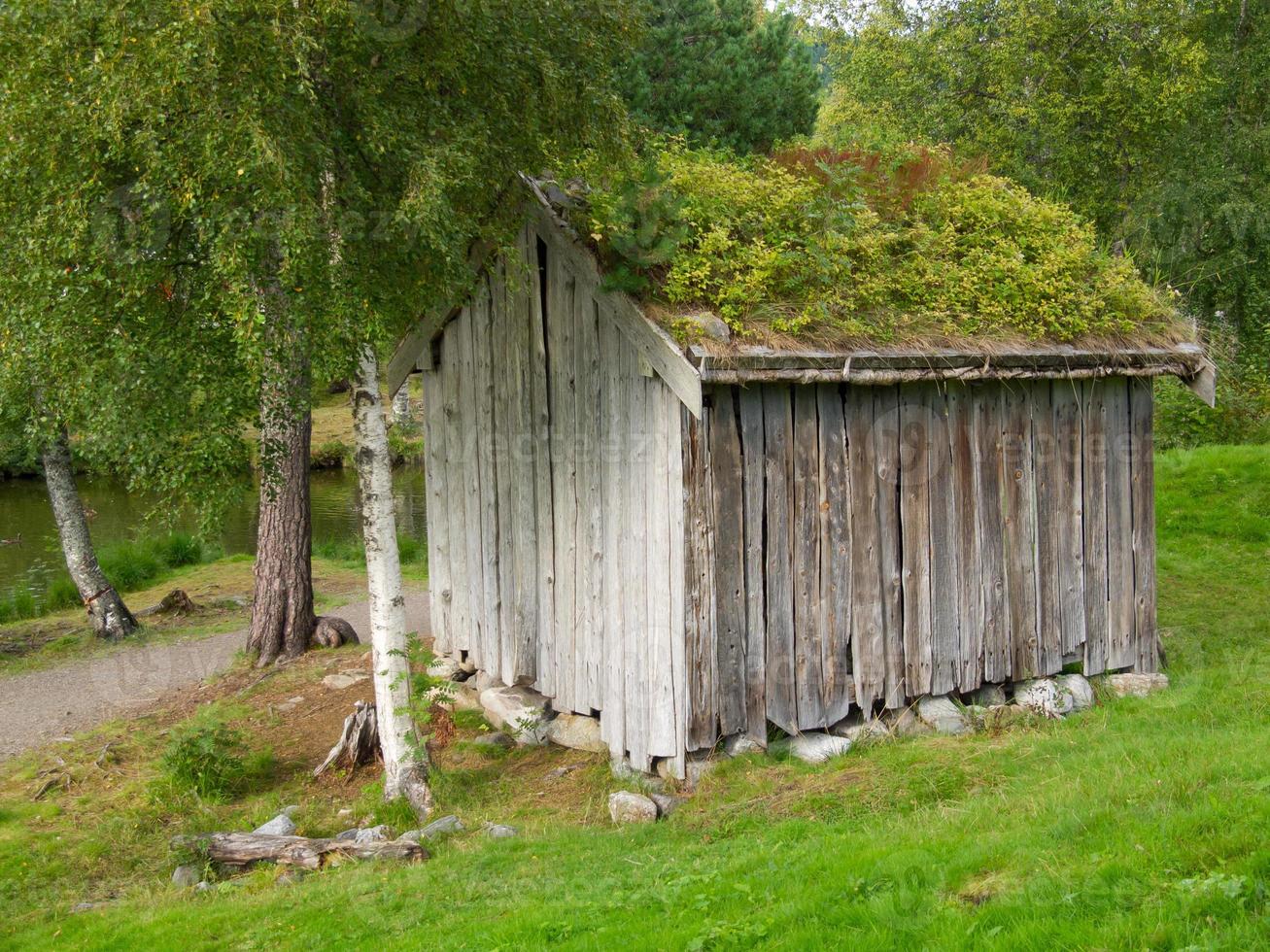 os fiordes da noruega foto