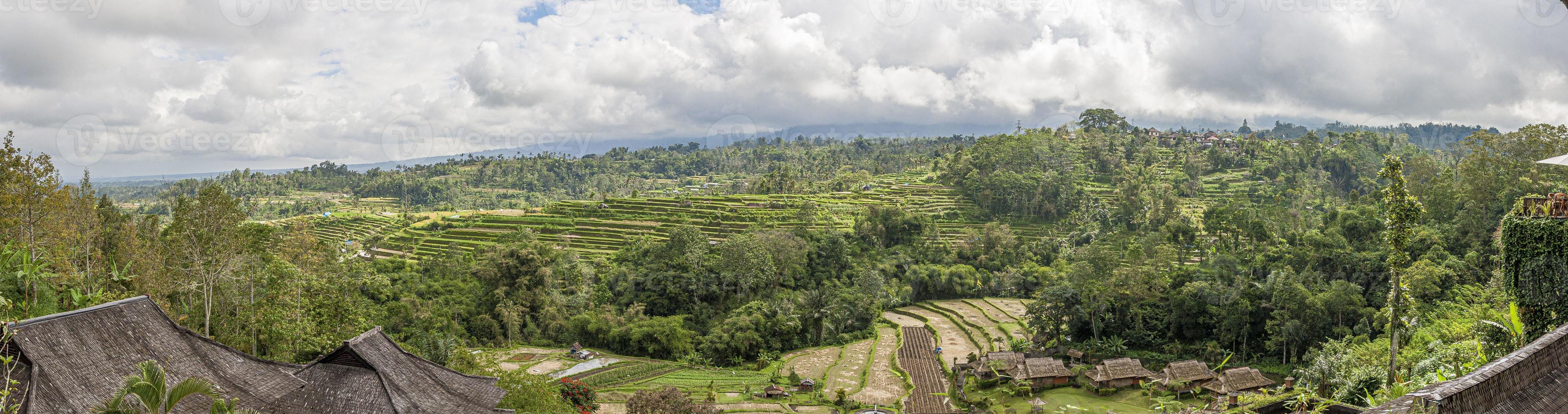 vista sobre os típicos terraços de arroz na ilha de bali, na indonésia foto