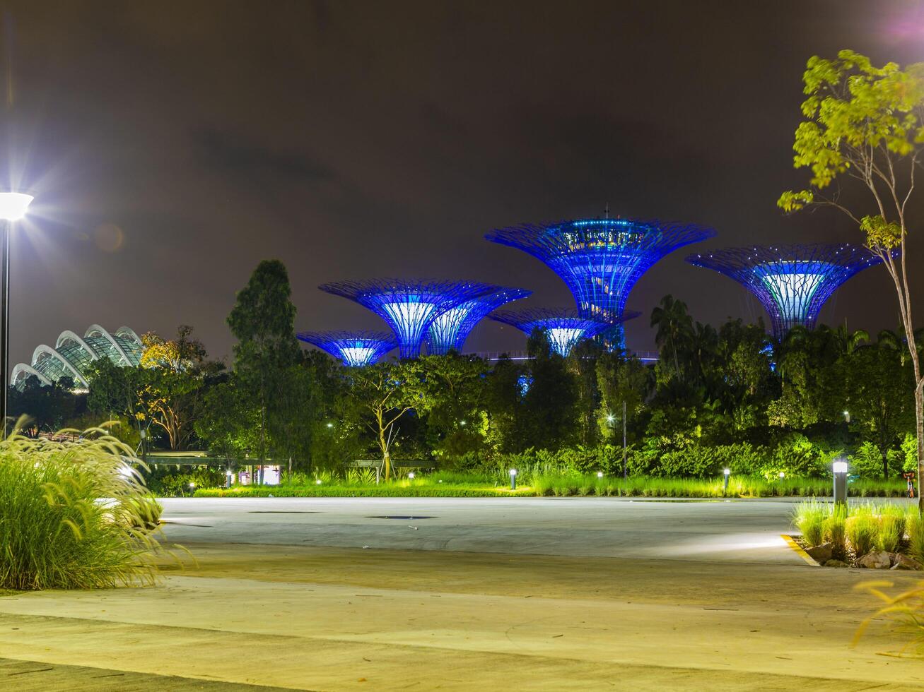 foto dos jardins do bay park em singapura durante a noite em setembro