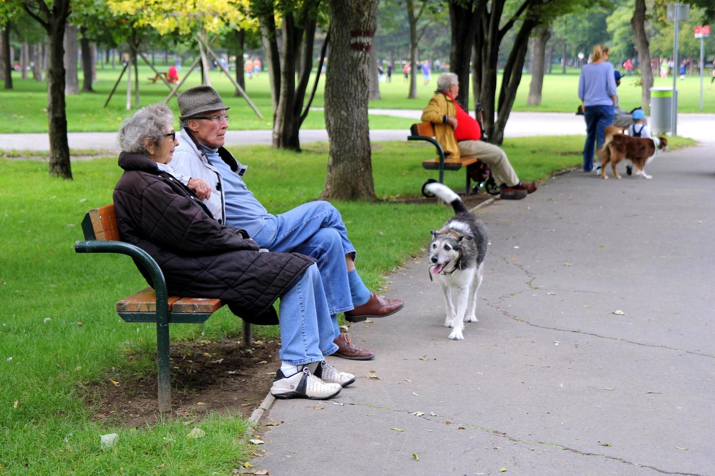 viena, áustria - 31 de agosto de 2014. vista em um parque com idosos sentados em um banco e cachorros passeando. foto