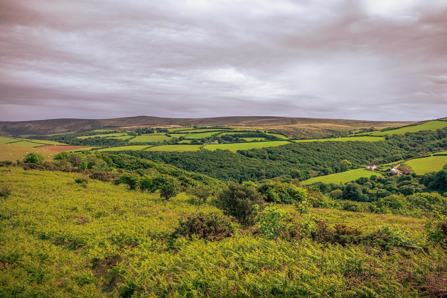 a paisagem natural da Cornualha, Inglaterra. foto
