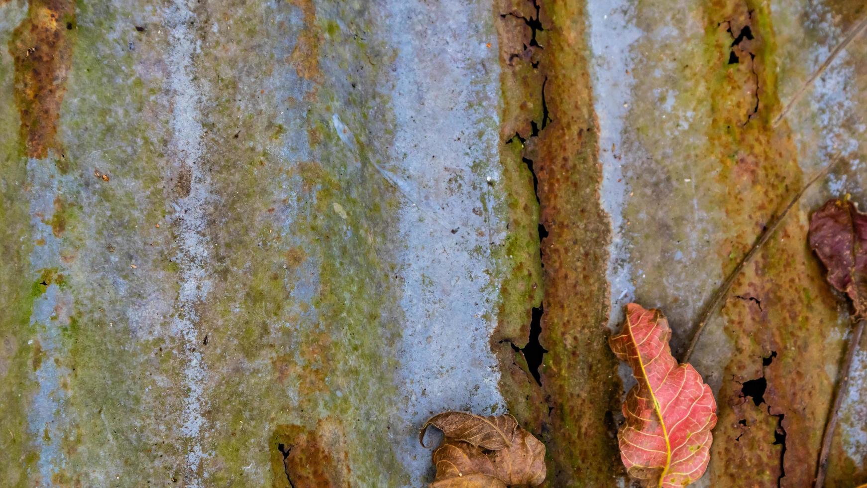 textura de zinco enferrujado como pano de fundo foto