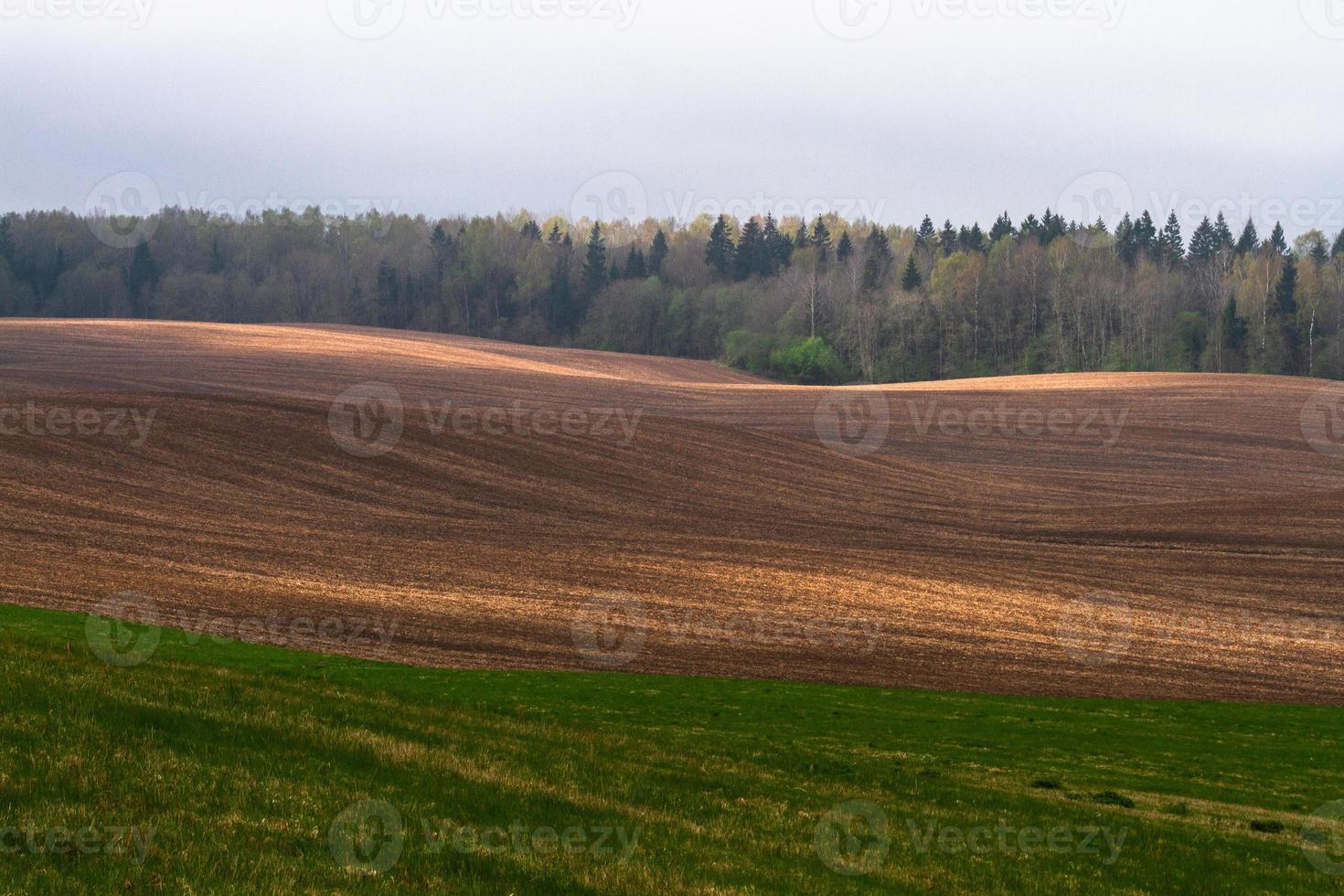 paisagens da primavera letã foto