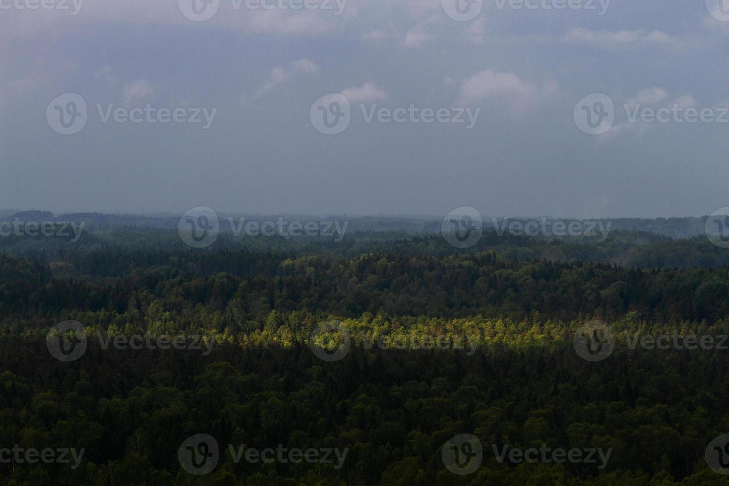 paisagens de verão letãs com rolos de feno foto