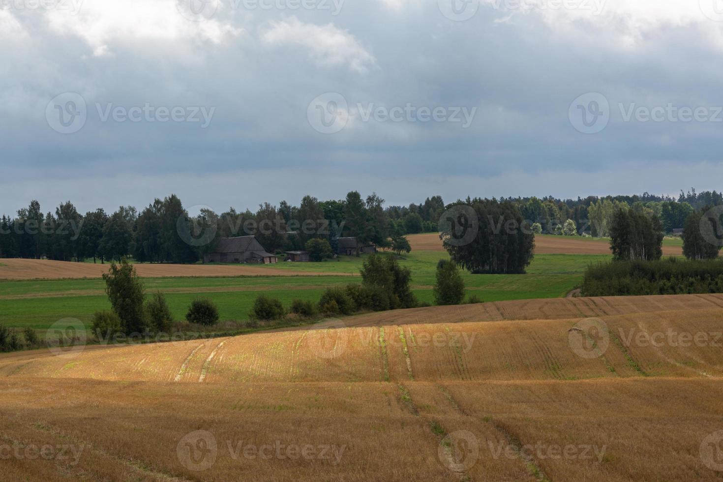 paisagens letãs de verão com nuvens foto