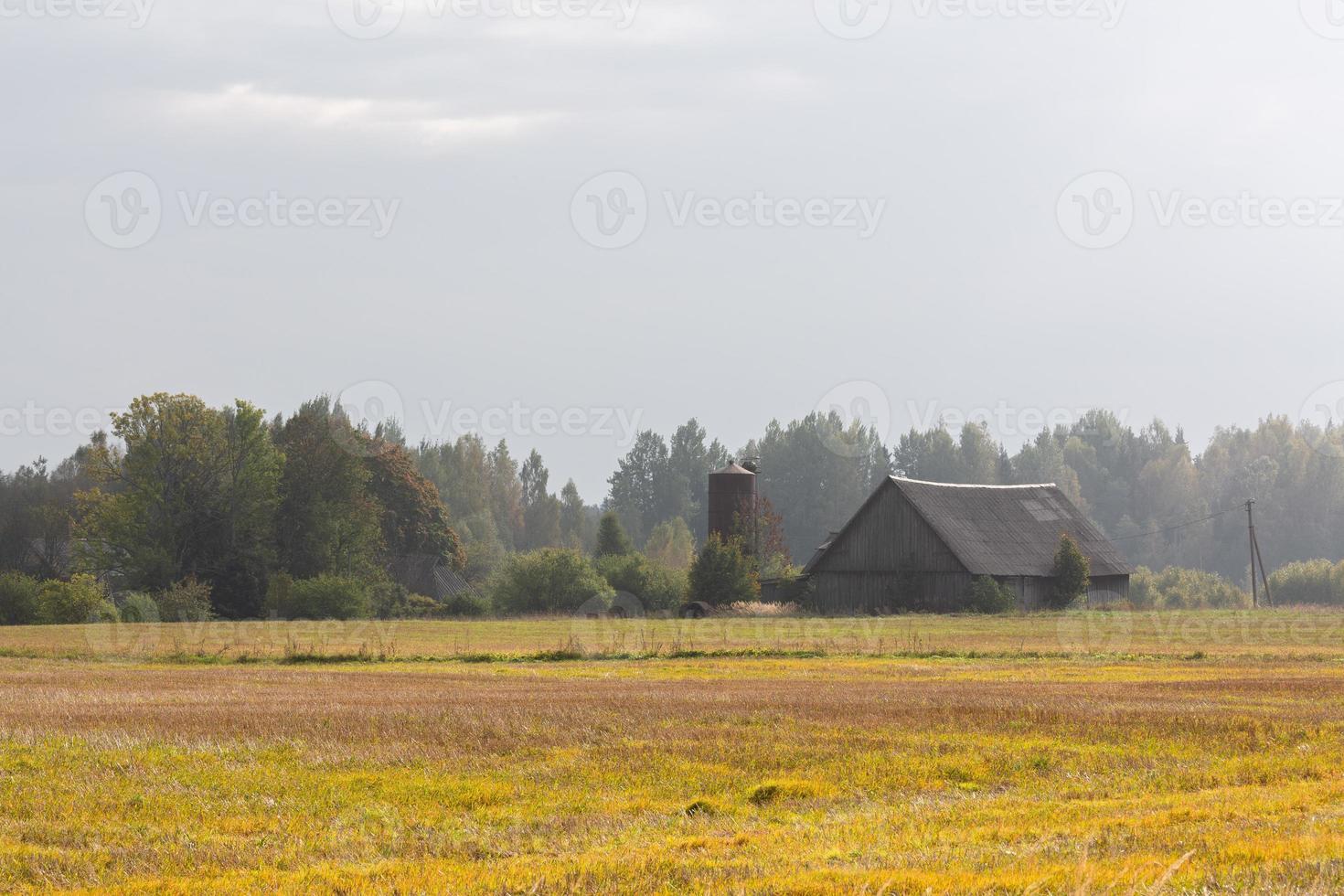 paisagens de outono na letônia foto