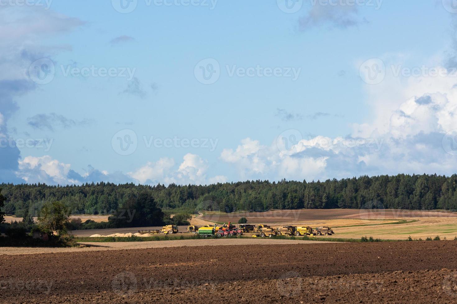 paisagem de outono letão foto